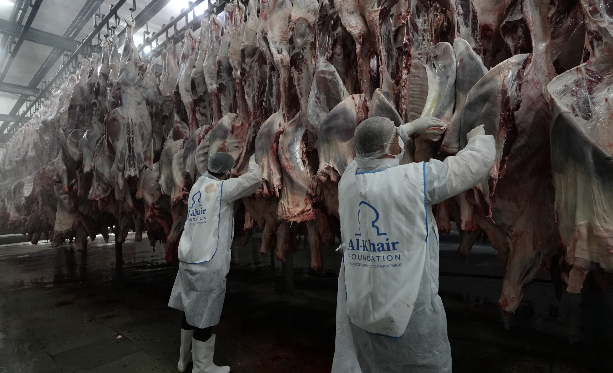 The meat is transferred to temperature-controlled cold storage to preserve freshness, maintain quality, and ensure food safety standards.